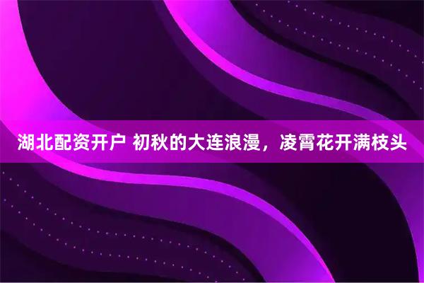 湖北配资开户 初秋的大连浪漫，凌霄花开满枝头